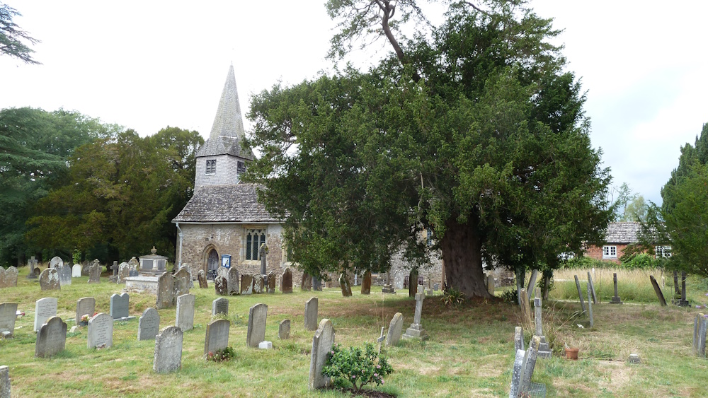 A yew tree in the churchyard of Itchingfield, St Nicholas surrounded by more recent gravestones