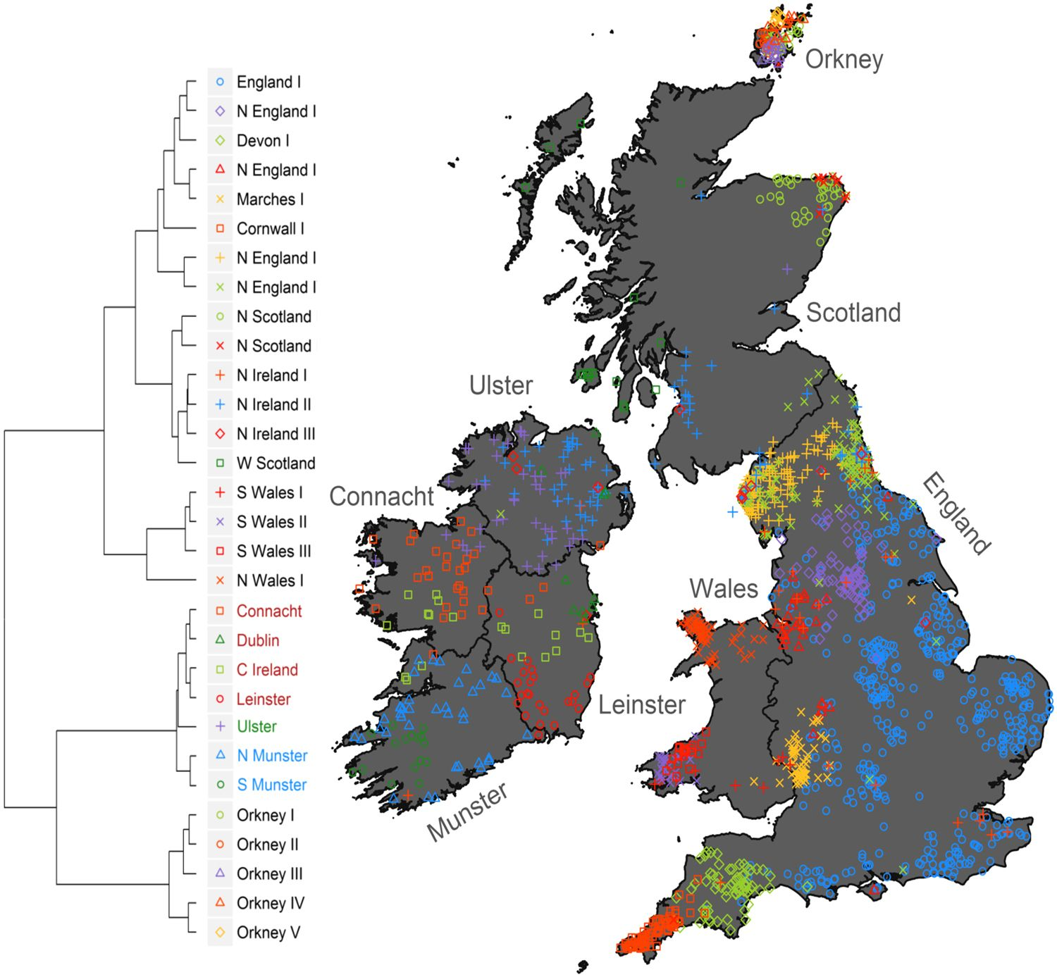 30 genetic clusters across Britain based on DNA analysis.